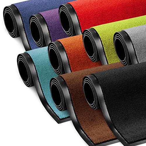 etm Schmutzfangmatte ColorLine | Türmatte in vielen Größen | Fußmatte für Innenbereich | Rutschfester Teppich für Flur, Haustür, Eingang, Eingangsbereich, Vorzimmer - Hellgrün 200x200 cm von etm