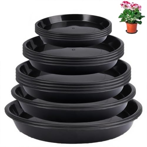 eupdd 16 Stück Blumentopf Untersetzer: 16/20/24/28/32cm Blumenuntersetzer Rund Schwarz, für Innen und Außenpflanzen, Untersetzer blumentopf, Pflanzen Untersetzer, Pflanzenuntersetzer Rund eupdd 16 Stück Blumentopf Untersetzer: 16/20/24/28/32cm Blumenuntersetzer Rund Schwarz, für Innen und Außenpflanzen, Untersetzer blumentopf, Pflanzen Untersetzer, Pflanzenuntersetzer Rund von eupdd