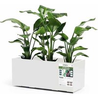 Euro3plast Greener KEBE 3154.03Pflanzkasten Kunststoff Weiß von euro3plast