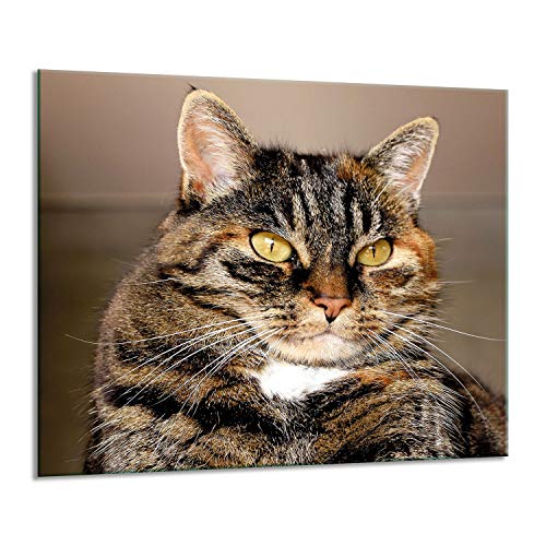 Herdabdeckplatte Schneidebrett Spritzschutz Sicherheitsglas Gehärtetes Glas Bild 60x52 - Katze von ewaschbaer