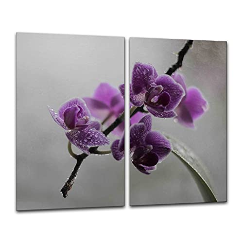 ewaschbaer Herdabdeckplatten Ceranfeldabdeckung Spritzschutz Glas 2x30x52 Blumen Violett Orchidee ewaschbaer Herdabdeckplatten Ceranfeldabdeckung Spritzschutz Glas 2x30x52 Blumen Violett Orchidee von ewaschbaer
