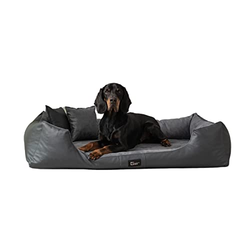 exclusive BED Orthopädisches Hundebett Eden Grosse Mittelgroße Kleine Hunde - Hundekissen Hundematte aus Öko-Leder + Alcantara-Stoff - Schmerzlindernd Abriebfest Reißfest (L, Grau) von exclusive BED