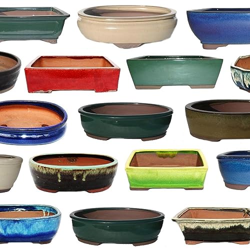 Bonsai-Schale Größe 5 - SONDERPOSTEN - Zufallsform und Zufallsfarbe - L ca. 30cm - B ca. 25cm - H ca. 8-9cm von exotenherz