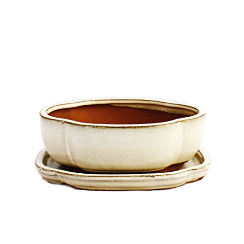 Exotenherz - Bonsai-Schale mit Unterteller Gr. 2 - hellbeige - haitang/oval - Modell I5 - L 14,5cm - B 12,5cm - H 5cm Exotenherz - Bonsai-Schale mit Unterteller Gr. 2 - hellbeige - haitang/oval - Modell I5 - L 14,5cm - B 12,5cm - H 5cm von exotenherz