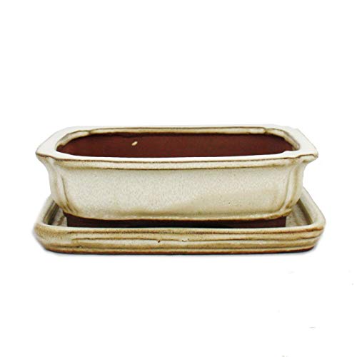 Exotenherz - Bonsai-Schale mit Unterteller Gr. 2 - hellbeige - rechteckig - Modell G12 - L 15,5cm - B 12cm - H 4,5cm von exotenherz