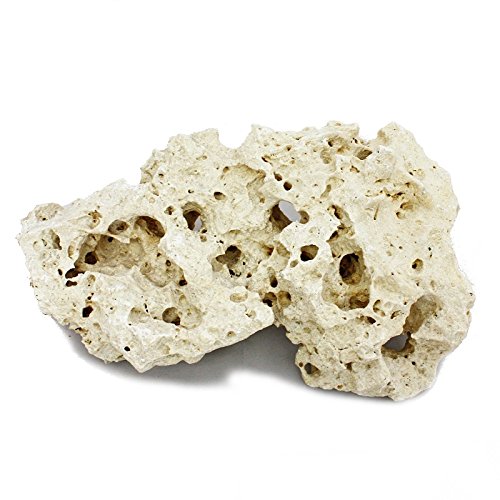 Exotenherz - Sansibar Rock Gr. XL 23-30 cm von exotenherz