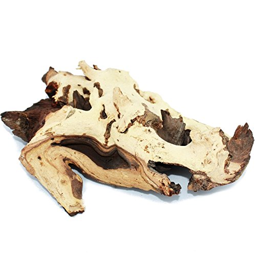 Exotenherz - Mopanie-Wurzel Gr. L 23-29 cm von exotenherz