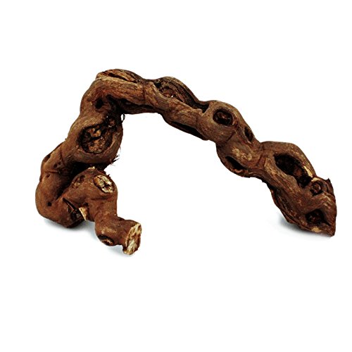 Exotenherz - Rebholz 18-20 cm von exotenherz