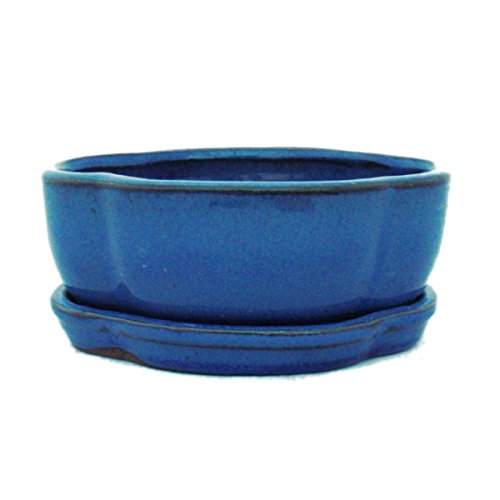 exotenherz - Bonsai-Schale mit Unterteller Gr. 1 - Blau - haitang/oval - Modell I5 - L 12cm - B 9,5cm - H 4,5 cm exotenherz - Bonsai-Schale mit Unterteller Gr. 1 - Blau - haitang/oval - Modell I5 - L 12cm - B 9,5cm - H 4,5 cm von exotenherz