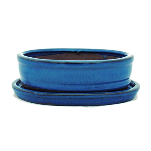 exotenherz - Bonsai-Schale mit Unterteller Gr. 2 - Blau - oval - Modell O7 - L 15,5cm - B 12cm - H 4,5cm von exotenherz