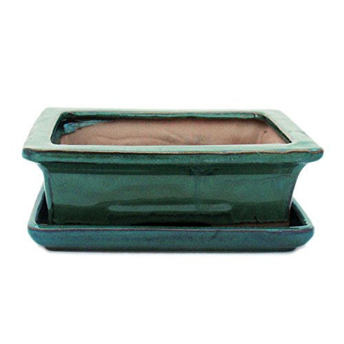 exotenherz - Bonsai-Schale mit Unterteller Gr. 3 - Grün - eckig - Modell G29 - L 18cm - B 13cm - H 6cm von exotenherz