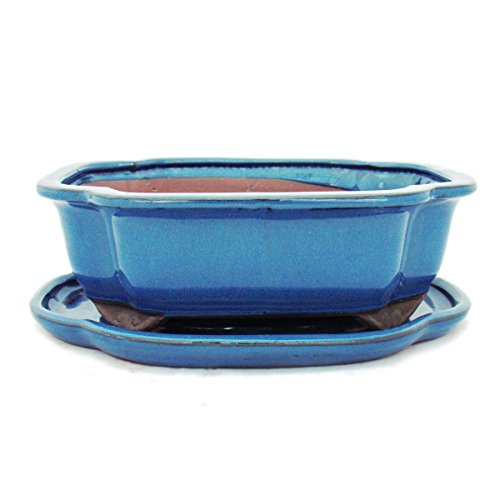exotenherz - Bonsai-Schale mit Unterteller Gr. 4 - Blau - haitang/oval - Modell I4 - L 26cm - B 20,5cm - H 8,5cm exotenherz - Bonsai-Schale mit Unterteller Gr. 4 - Blau - haitang/oval - Modell I4 - L 26cm - B 20,5cm - H 8,5cm von exotenherz
