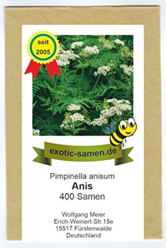 Anis - Bienenweide - Kräuter - Gewürzpflanze - Pimpinella anisum (400 Samen) von exotic-samen