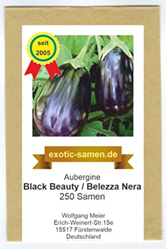 Aubergine - Black Beauty - Bellezza Nera - alte Sorte - 250 Samen von exotic-samen