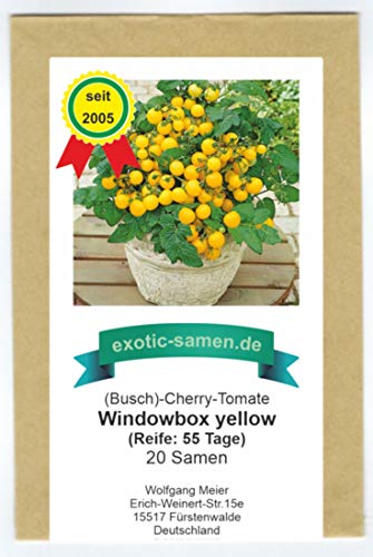 Balkontomate - Buschtomate - gelbe Cherry - Windowbox yellow - 20 Samen von exotic-samen