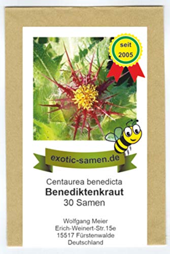 Benediktenkraut - Natternkraut - Centaurea benedicta - Arznei- u. Zierpflanze - 30 Samen von exotic-samen