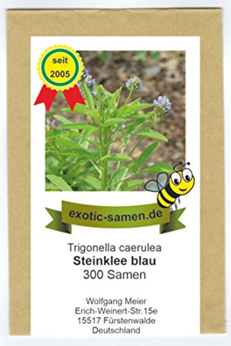 Blauer Steinklee - Schabzieger Klee - Bienenweide - Gewürz- + Arzneipflanze - 300 Samen von exotic-samen