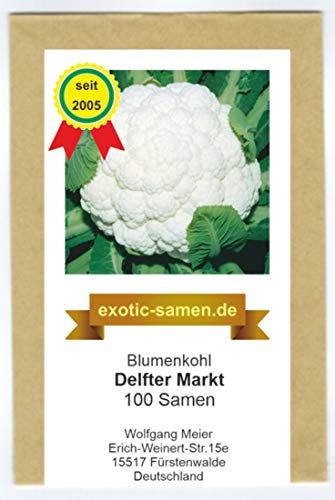 Blumenkohl - Delfter Markt -100 Samen von exotic-samen