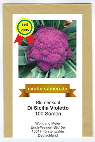 Blumenkohl - violett - schnellwüchsig - Di Sicilia Violetto - ca. 100 Samen von exotic-samen