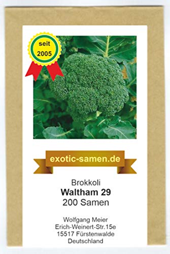 Broccoli - Brokkoli - winterhart - Frühernte - Waltham 29-200 Samen von exotic-samen