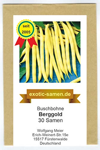 Buschbohne - Wachsbohne - mittelfrüh - Berggold - 30 Samen von exotic-samen