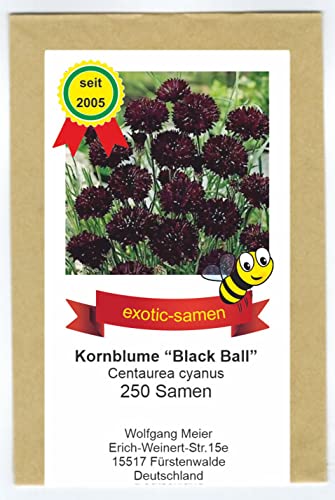 Centaurea cyanus - Bienenweide - Schwarze Kornblume"Black Ball" - samenfeste Sorte - 250 Samen von exotic-samen