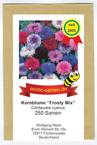 Centaurea cyanus - Bienenweide - Kornblumen-Mix - 5 Farben - 250 Samen von exotic-samen