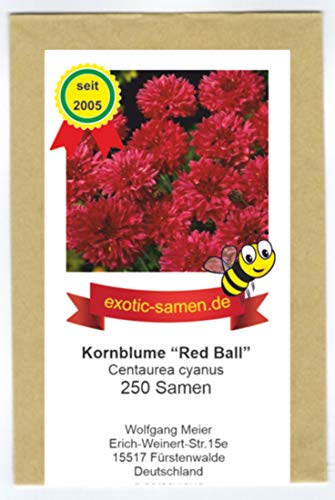 Centaurea cyanus - Bienenweide - Rote Kornblume "Red Ball" - 250 Samen von exotic-samen