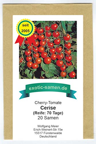 Cerise - rote Cherry-Tomate - 20 Samen von exotic-samen