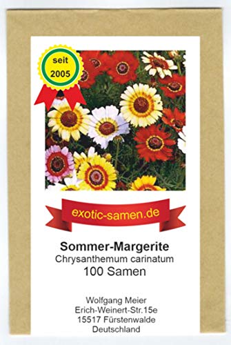 Chrysanthemum carinatum - Sommer-Margerite - 100 Samen von exotic-samen