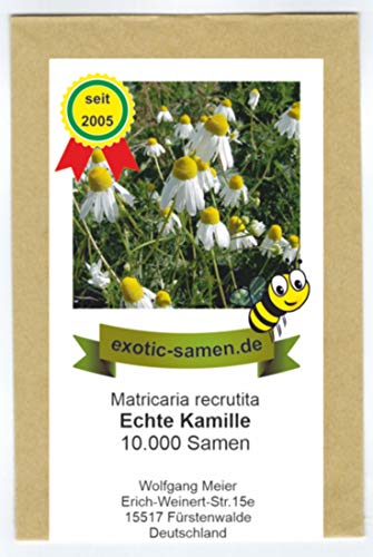 Echte Kamille - Bienenweide - Matricaria recrutita - 10.000 Samen von exotic-samen