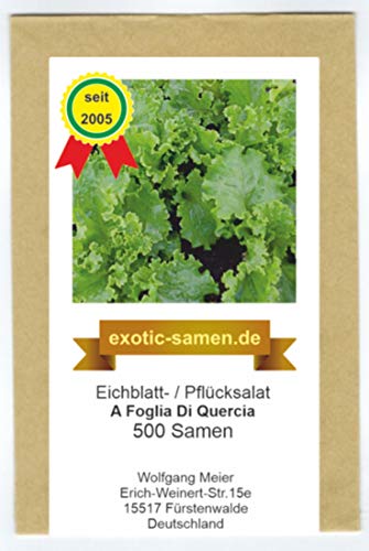 Eichblatt- / Pflück-Salat - A Foglia Di Quercia - schnellwüchsig - 500 Samen von exotic-samen
