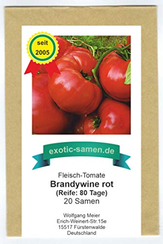 Eine alte, rote Fleischtomate mit dem ursprünglichen Geschmack - Brandywine rot - 20 Samen von exotic-samen