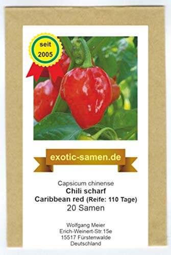 Eines der schärfsten Chilis - Habanero Caribbean red - 20 Samen von exotic-samen