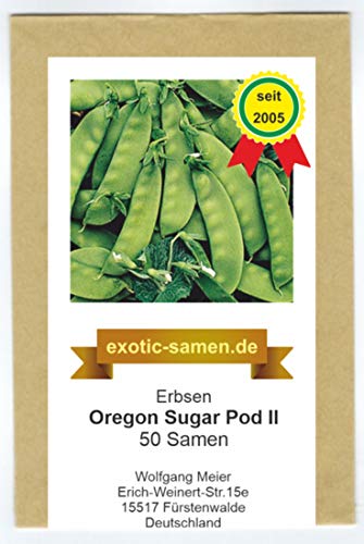 Zuckererbse - mittlfrüh - Oregon Sugar Pod II (50 Samen) von exotic-samen