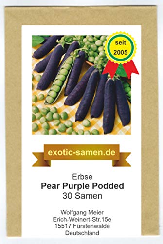 Erbse - Pea Purple Podded - lila-fruchtig - blau - 30 Samen von exotic-samen