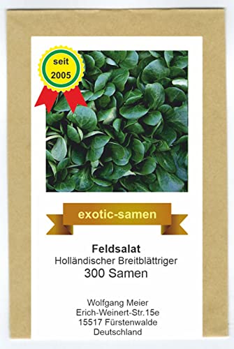 Feldsalat - Rapunzel - Holländischer Breitblättriger - ertragreich samenfeste Sorte - 300 Samen von exotic-samen