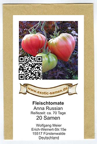 Fleischtomate Tomate - Anna Russian - frühe Sorte bis 500g - 20 Samen von exotic-samen