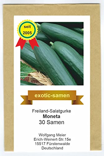 Freiland-Salatgurke - Moneta F1 Hybrid - bitterfrei - 30 Samen von exotic-samen