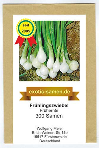 Frühlingszwiebel - Frühernte (300 Samen) von exotic-samen