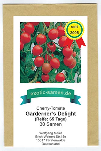 Gardener's Delight - frühe, rote Cherry-Tomate - sehr süß - mehrfacher Preisgewinner - 30 Samen von exotic-samen