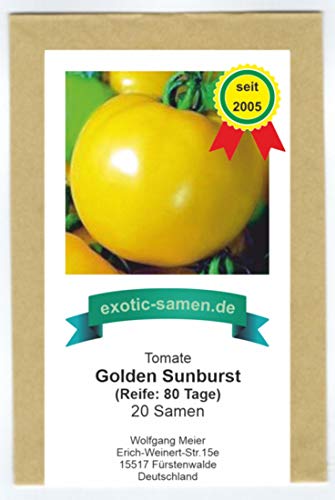 Gelb-goldene Salat-Tomate, golden Sunburst - 20 Samen von exotic-samen