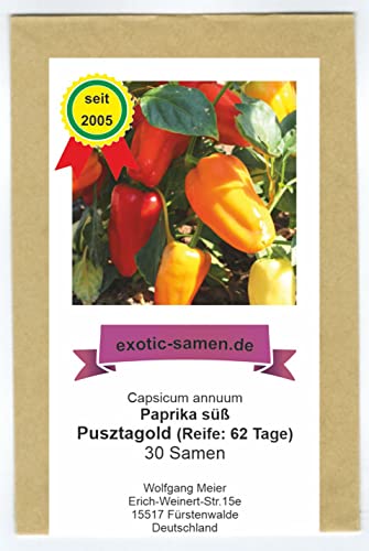 Gemüsepaprika – Pusztagold - sehr lecker und vielseitig – 30 Samen von exotic-samen