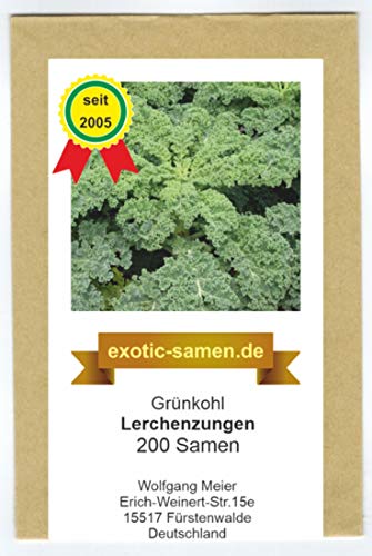 Grünkohl - Winterkohl - halbhohe Sorte - Lerchenzungen - samenfeste Sorte - 200 Samen von exotic-samen