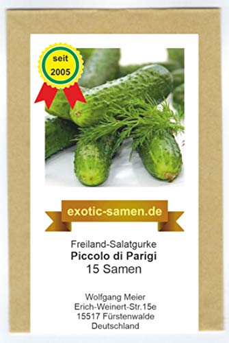 Gurke - Einlegegurke - Piccolo Di Parigi - 15 Samen von exotic-samen