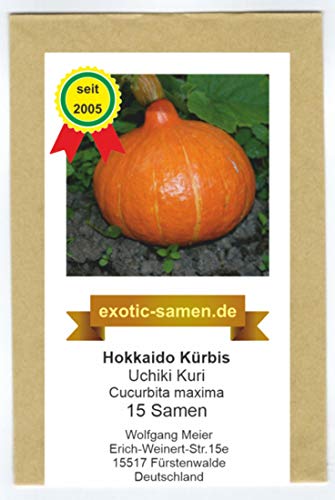 Hokkaido Kürbis - Uchiki Kuri - tolle Züchtung - 15 Samen von exotic-samen