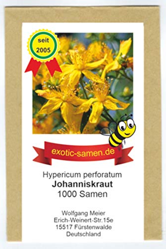 Johanniskraut - Bienenweide - Heilpflanze des Jahres 2019 - Hypericum perforatum - Zier-/Arzneiplanze - 1000 Samen von exotic-samen