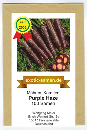 Karotte - Möhre - Purple Haze Hybrid - 100 Samen von exotic-samen