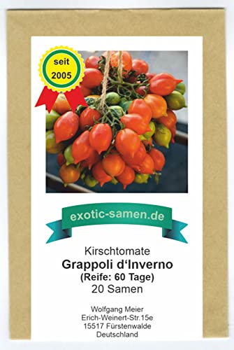 Kirschtomate – Cherrytomate – Grappoli d’Inverno - äüßerst ertragreich – 20 Samen von exotic-samen