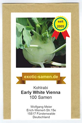 Kohlrabi - schnellwüchsig - für Sommer- und Herbsternte - Early White Vienna - 100 Samen von exotic-samen